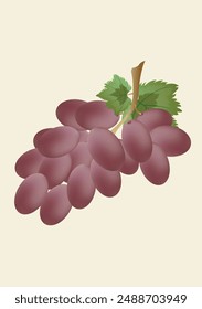 Uvas moradas con tallo y hojas