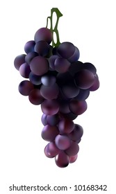 Purple Grapes. Vector illustration.
