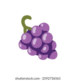 Purple grapes vector illustration. Bunch of purple grapes with stem. 