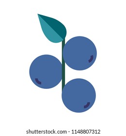 purple grapes vector illustration in gradient design
