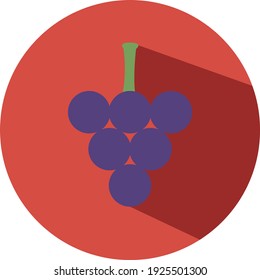 Purple grapes for wine, illustration, vector on white background.