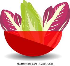 Purple and green napa or chinese cabbage in a red transparent bowl. Vector graphic illustration with shadow.