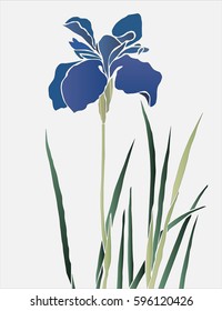 Purple hand drawn iris flower isolated on light gray background. Vector illustration