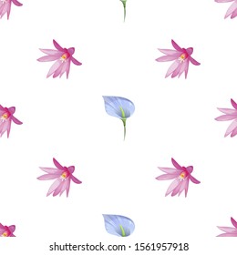 Purple Hatiora. Blue Anthurium Tailflower. Vector illustration. Seamless background pattern. Floral botanical flower. Wild leaf wildflower isolated. Exotic tropical hawaiian jungle. Fabric wallpaper.