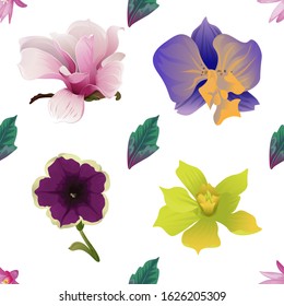 Purple Hatiora. Green Dracaena. Pink Magnolia. Purple Orchid. Violet Petunia. Yellow Orchid. Vector illustration. Seamless background pattern. Floral botanical flower. Wild leaf wildflower isolated.