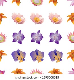 Purple Hatiora. Orange Daylily. Pink Protea. Pink Peony. Purple orchid. Purple Orchid. Vector illustration. Seamless background pattern. Floral botanical flower. Wild leaf wildflower isolated.