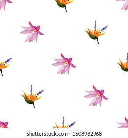 Purple Hatiora. Orange Strelitzia. Vector illustration. Seamless background pattern. Floral botanical flower. Wild leaf wildflower isolated. Exotic tropical hawaiian jungle. Fabric wallpaper print.