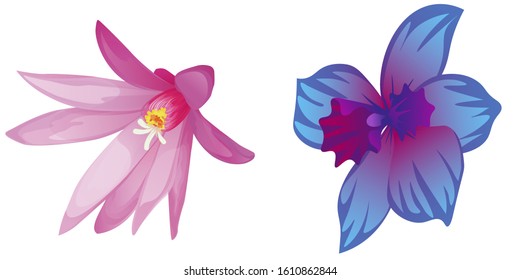 Purple Hatiora. Vector illustration. Isolated illustration element. Floral botanical flower. Wild leaf wildflower isolated. Exotic tropical hawaiian jungle.
