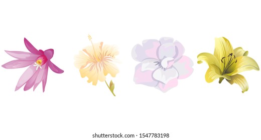 Purple Hatiora. Yellow hibiscus. White Camellia. Yellow Lilium. Vector illustration. Isolated illustration element. Floral botanical flower. Wild leaf wildflower isolated. Exotic tropical hawaiian.