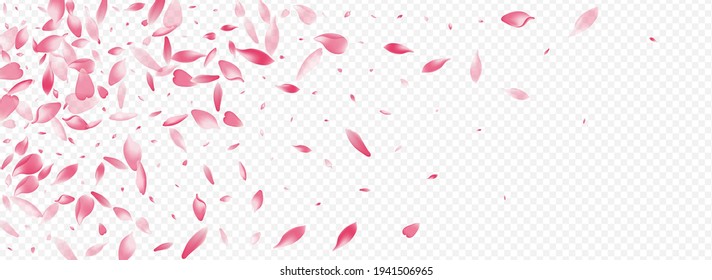 Purple Heart Vector Panoramic Transparent Background. Leaf Romance Illustration. Flower Spring Pattern. Rosa Down Card. Color Cherry Overlay Backdrop.