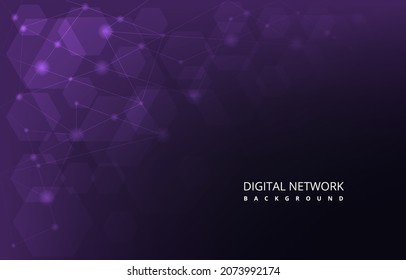Purple Hexagon Digital Network Connection Internet Technology Background