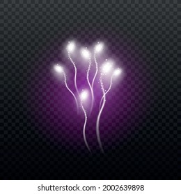 Purple holiday firework isolated on dark transparent background. Realistic fire show explosion with white spherical glowing shapes, vector illustration.