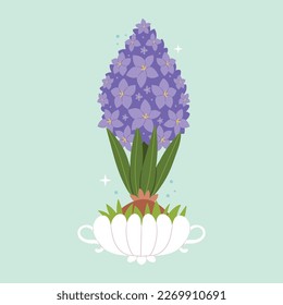 Purple hyacinth in a vintage pot. Spring mood, decor.