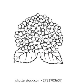 "Purple Hydrangea Cluster Flower Botanical Design Element."