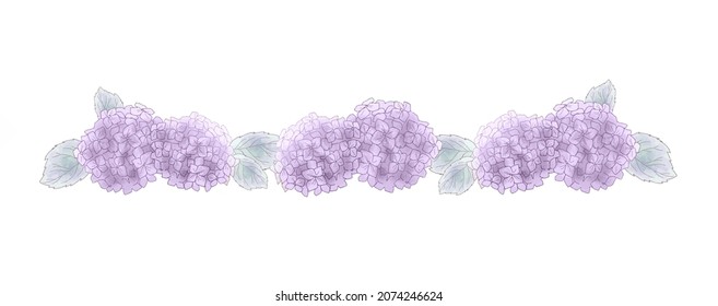 Purple hydrangea seamless borderline. On white background.