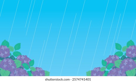 Purple hydrangeas blooming in the rain
