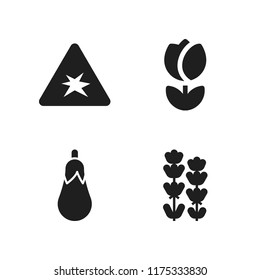 purple icon. 4 purple vector icons set. explosive, lavender and aubergine icons for web and design about purple theme