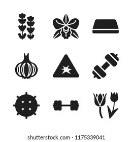 purple icon. 9 purple vector icons set. lavender, lychee and tulip icons for web and design about purple theme