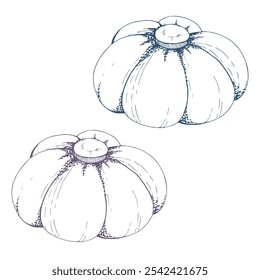 Cojín de alfiler de flor azul púrpura e índigo. Dibujado a mano tinta Ilustración vectorial costura artesanía bordado suministros de reparación. Composición aislada sobre fondo blanco. Taller de diseño, sastre, tienda de hobby