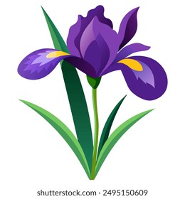 A purple iris with elegant, curved petals and a tall green stem, set against a white background