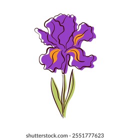 Purple iris flower with intricate petals and green leaves in flat style. Colorful hand drawn floral design for nature project, home decor and spring art.