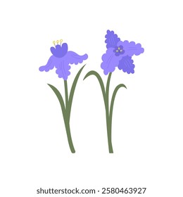 Purple iris flower with leaves. Vector flat illustration of floral bud on isolated background