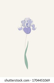 Purple Iris flower in one line art drawing style. Black line sketch. Vector illustration