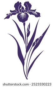 Purple iris flower silhouette with white background.