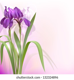 Purple Iris Flowers on bokeh background. Vector illustration