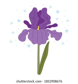 Iris morado sobre fondo blanco.Ilustración simple.Plantilla vectorial de tarjeta de saludo floral. Elemento de diseño de imágenes prediseñadas.