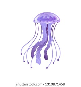 Purple Jellyfish, Beautiful Swimming Underwater Creature Vector Illustration