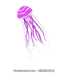 Purple jellyfish with long tentacles isolated on white. A jellyfish with a beautiful pattern and flexible tentacles. Vector EPS10.