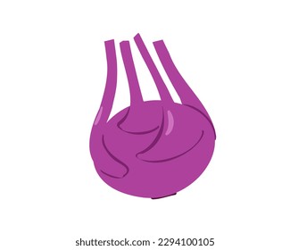 Repollo morado colabí aislado en el fondo blanco. Ilustración del vector