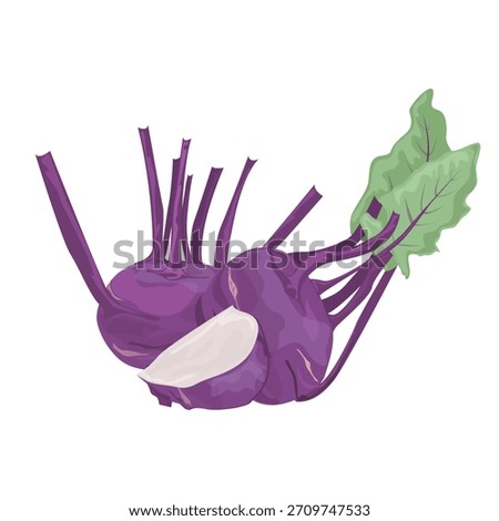Purple Kohlrabi vegetables. Vegetables unique shape and natural texture, making it ideal for food themes, farm concepts, healthy lifestyle visuals, packaging, and modern culinary projects.