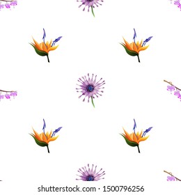 Purple Komakusa. Orange Strelitzia. Purple Osteospermum Daisybush. Vector illustration. Seamless background pattern. Floral botanical flower. Wild leaf wildflower isolated. Exotic tropical hawaiian.