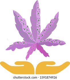 Purple kush weed leaf with hand below icon or logo.
