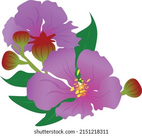 Purple Lagerstroemia speciosa flower of indian.Queen's flower
