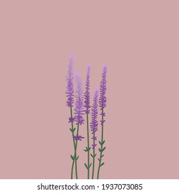 Purple Lavender Flower Vector Art
