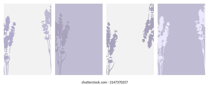 Purple lavender greeting cards. Elegant lavender bouquet design. Botanical flowers collection.