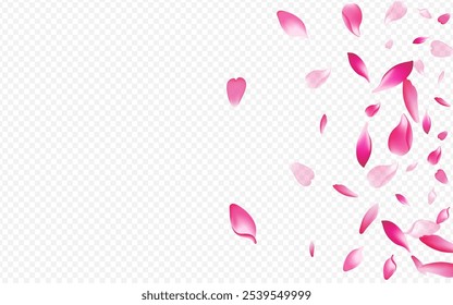 Purple Leaf Vector Transparent Background. Rose Romantic Pattern. Bloom Spring Texture. Blossom Rain Poster. Red Confetti Isolated Backdrop.