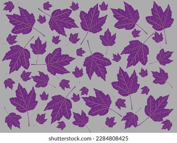violette Blätter auf grauem Hintergrund