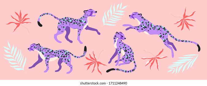 Purple leopard animals and tropical branches.  Hand-drawn modern illustrated set, isolated on pink. Trendy purple wild animals in different poses. Jumping, sitting and walking wild cats.