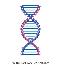 purple and lilac dna molecule