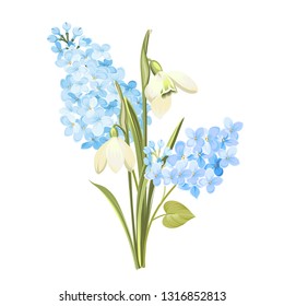 Purple Lilac flowers of syringa and white galanthus. Botanical illustration for spring bouquet. Spring time concept card with blooming flowers isolated over white background. Vector illustration.