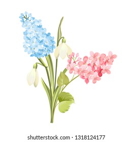 Purple Lilac flowers of syringa and white galanthus. Botanical illustration for spring bouquet. Spring time concept card with blooming flowers isolated over white background. Vector illustration.