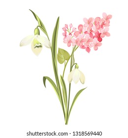 Purple Lilac flowers of syringa and white galanthus. Botanical illustration for spring bouquet. Spring time concept card with blooming flowers isolated over white background. Vector illustration.