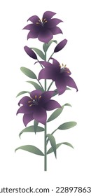 Purple lily flower branch. Ornate design element in realistic style.
