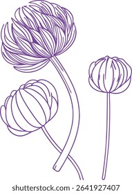 Purple Line Art Flower Bud Illustration – Elegant Hand-Drawn Floral Botanical Design with Minimalist Bloom and Petal Details for Nature-Inspired Prints, Packaging, and Projects