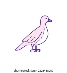 purple line color bird icons vector illustration white background