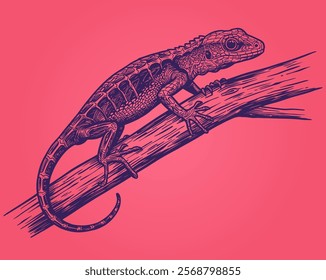 purple lizard on pink background